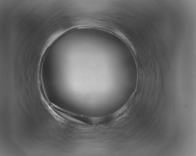 X0000051251485200507011639