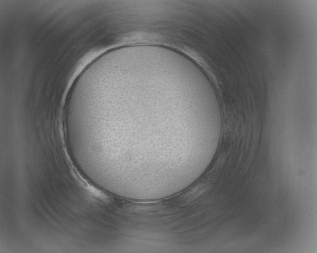 X0000051251486200507011639