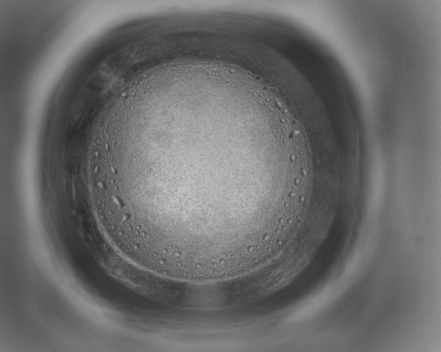 X0000051251487200507011639