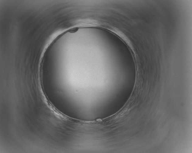 X0000051251488200507011639