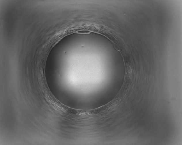 X0000051251489200507011638