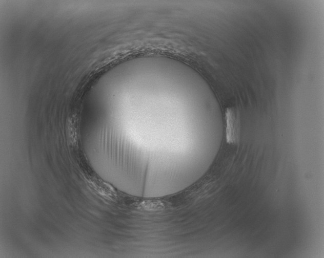 X0000051251491200507011638