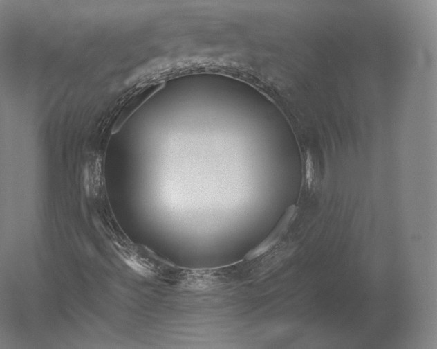 X0000051251492200507011638