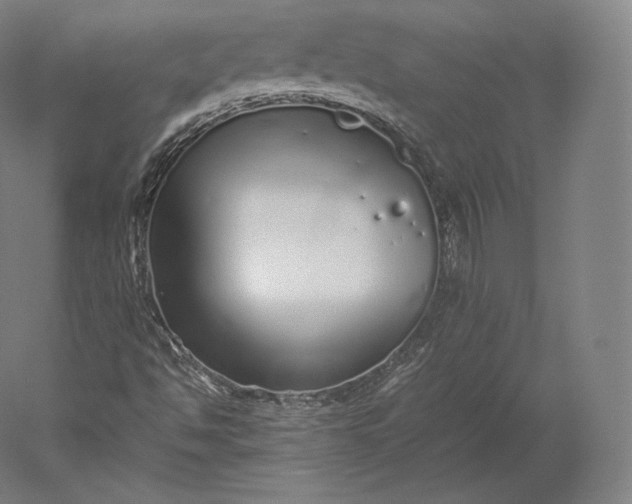 X0000051251494200507011638