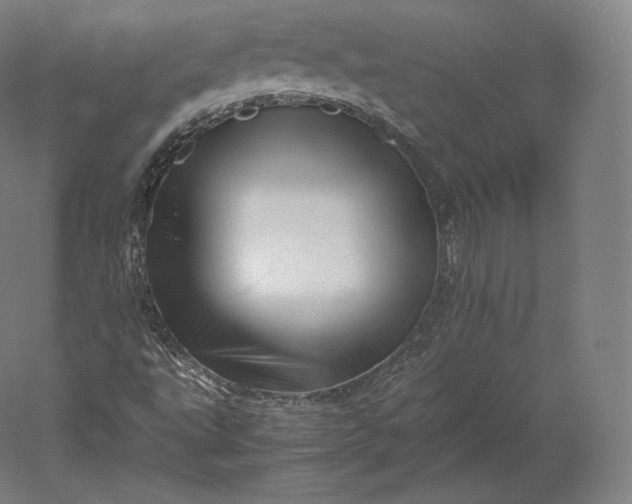 X0000051251495200507011638