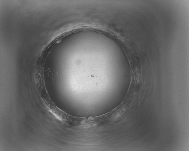 X0000051251496200507011638