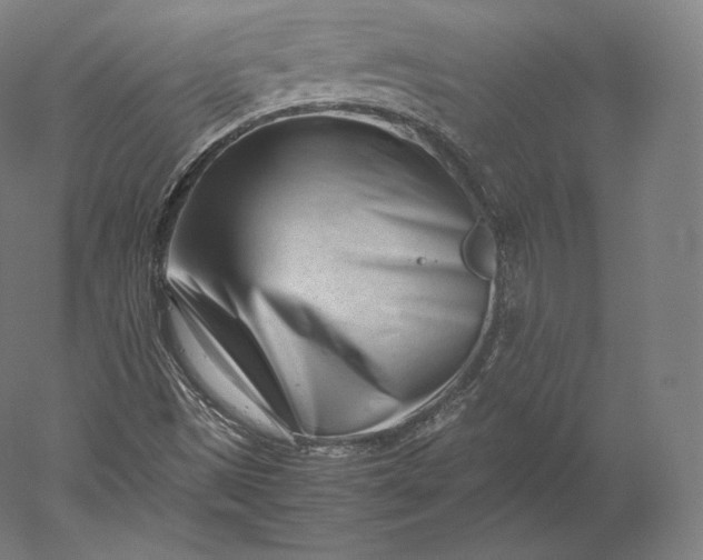 X0000051251497200507011638