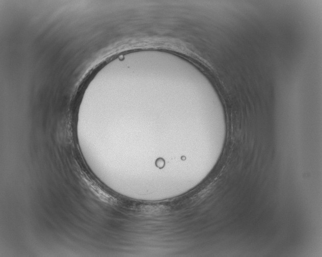 X0000051251498200507011638