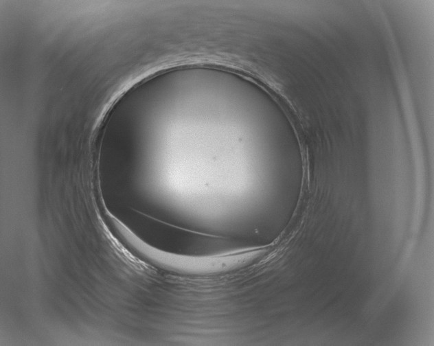 X0000051251500200507011638