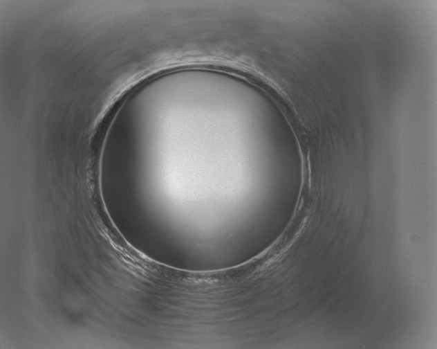 X0000051251501200507011638