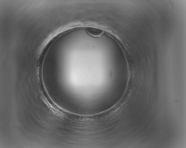 X0000051251503200507011638