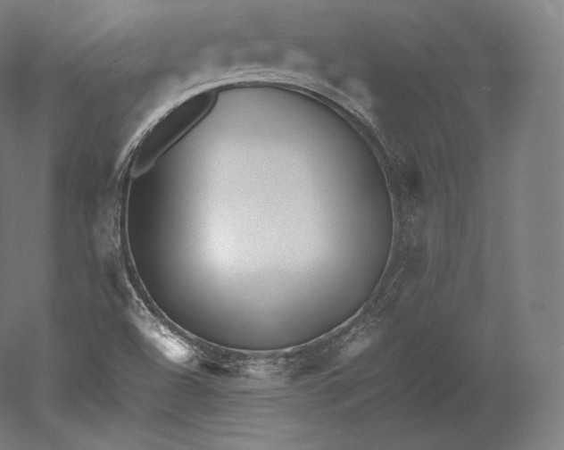 X0000051251504200507011638