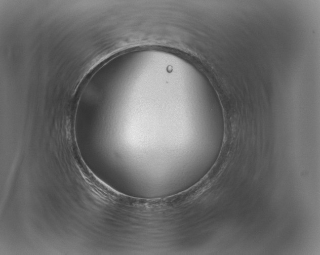 X0000051251505200507011638