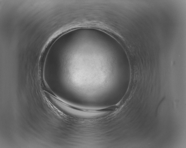 X0000051251506200507011638