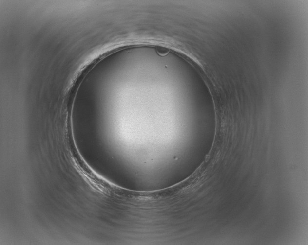 X0000051251507200507011638