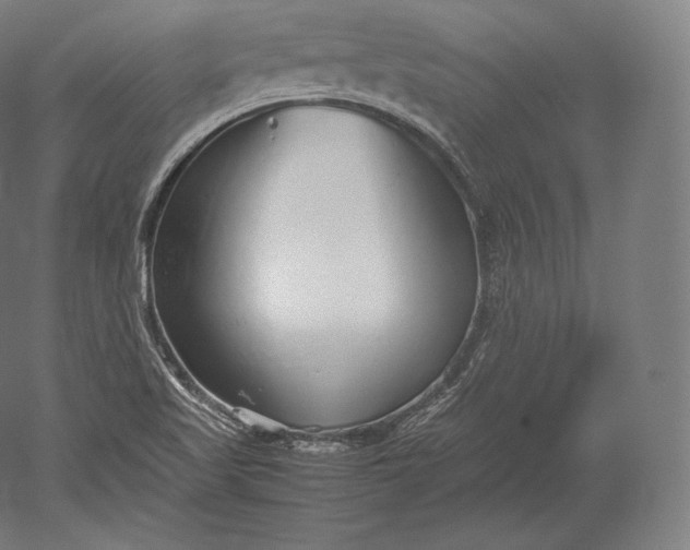 X0000051251509200507011639