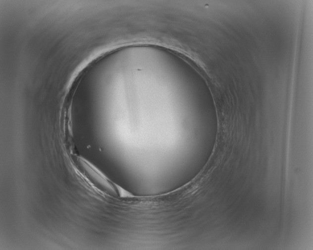 X0000051251510200507011639