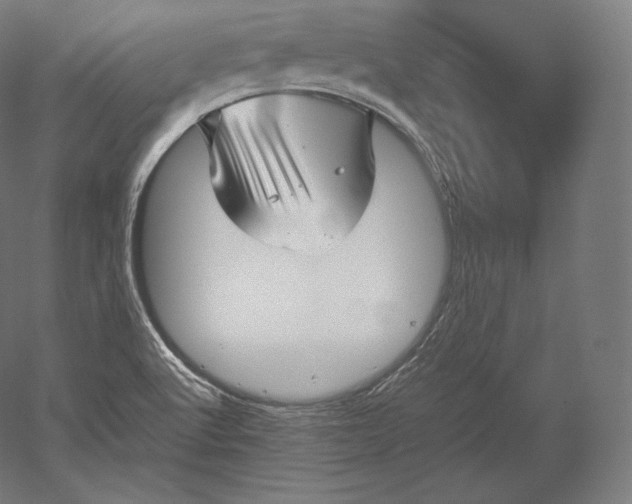 X0000051251512200507011639