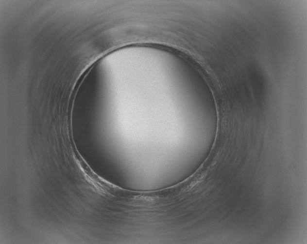 X0000051251513200507011639