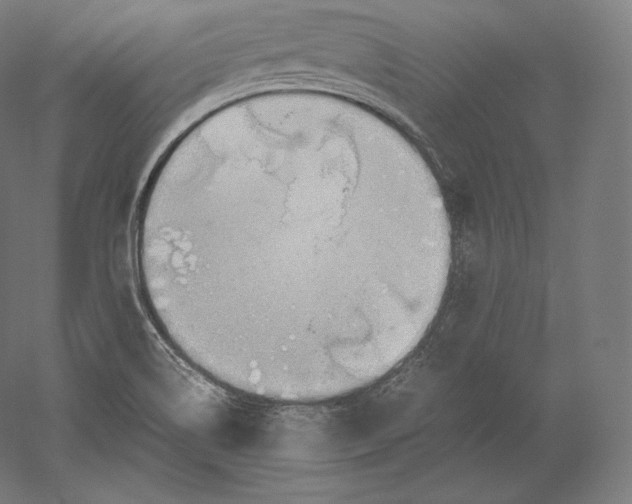 X0000051251514200507011639