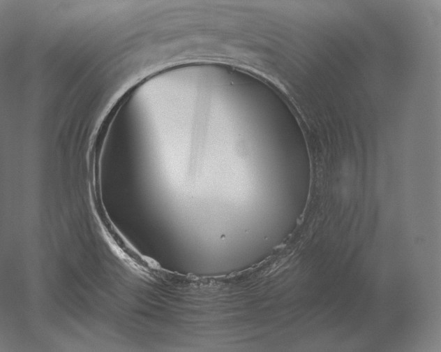 X0000051251515200507011639