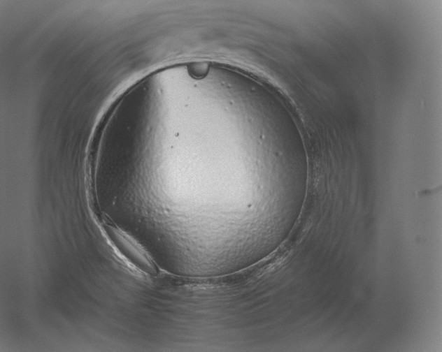 X0000051251517200507011639