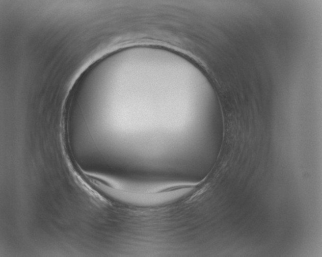 X0000051251518200507011639