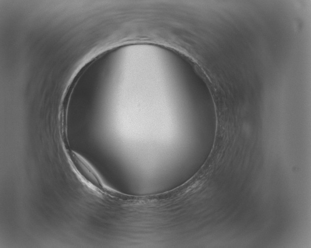 X0000051251519200507011639