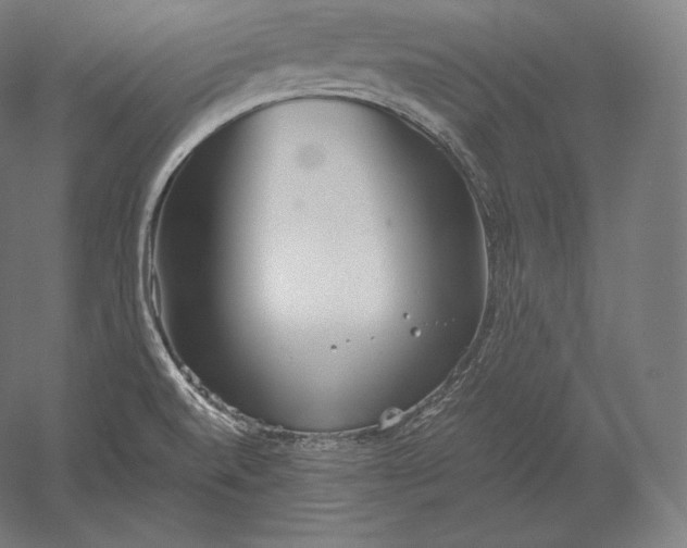 X0000051251520200507011639