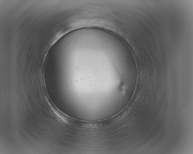 X0000051251521200507011639