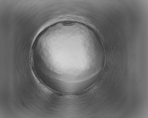 X0000051251522200507011639