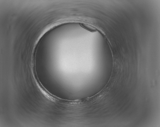 X0000051251523200507011639