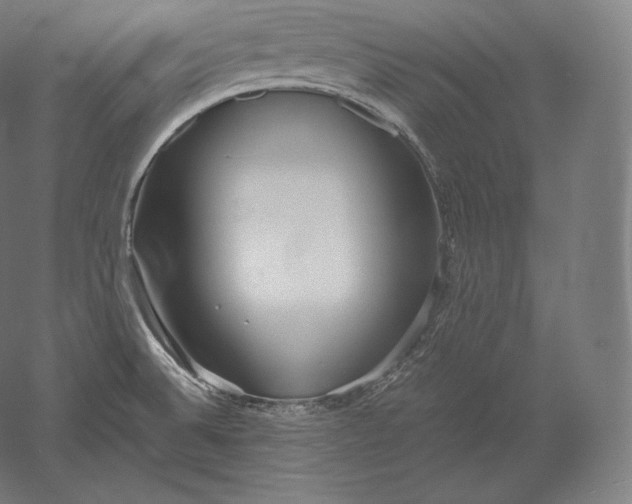 X0000051251524200507011639