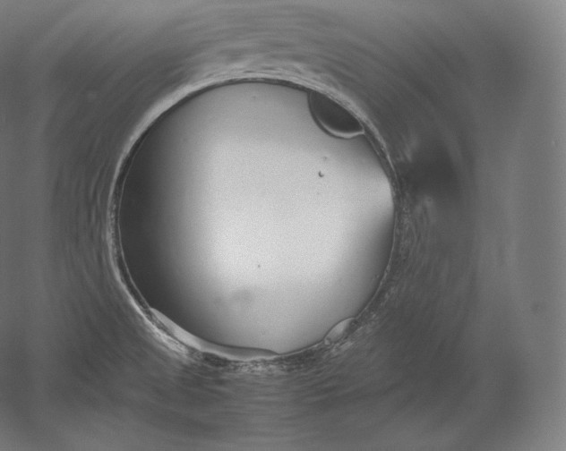 X0000051251525200507011639