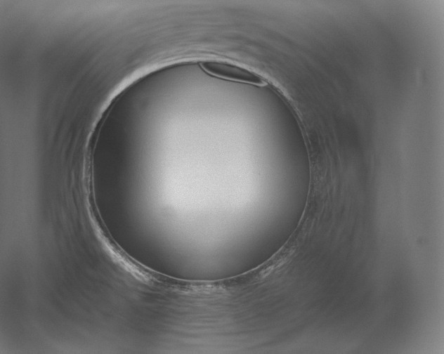 X0000051251526200507011639