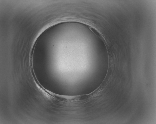 X0000051251527200507011639