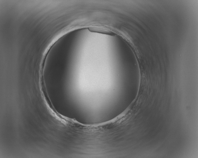 X0000051251528200507011639