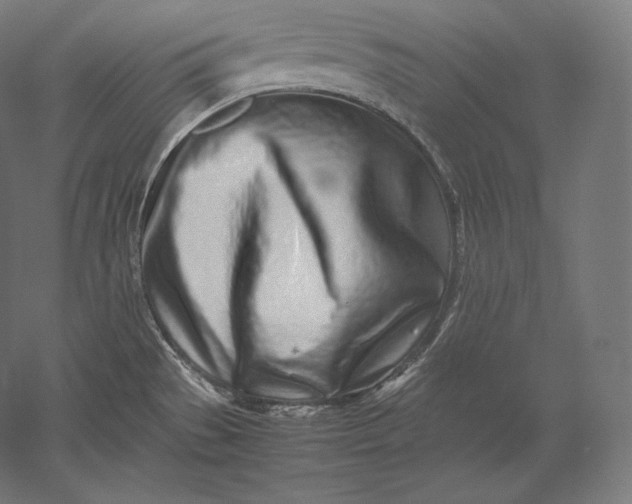 X0000051251529200507011639