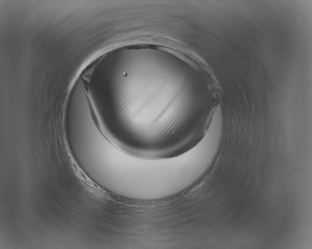 X0000051251530200507011639