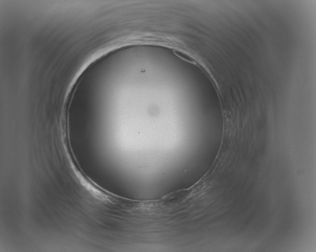 X0000051251531200507011639