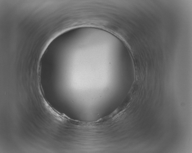 X0000051251532200507011639