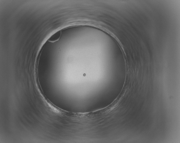 X0000051251533200507011639