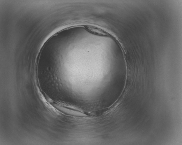 X0000051251534200507011639