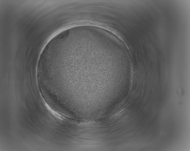 X0000051251535200507011639