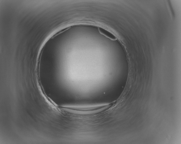 X0000051251536200507011639