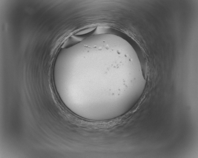 X0000051250001200507082202