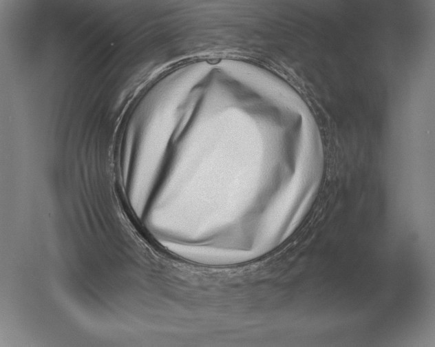 X0000051250002200507082202