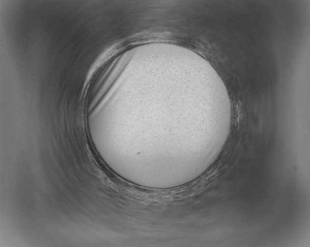 X0000051250004200507082202