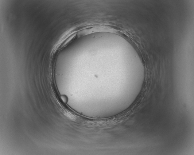 X0000051250005200507082202