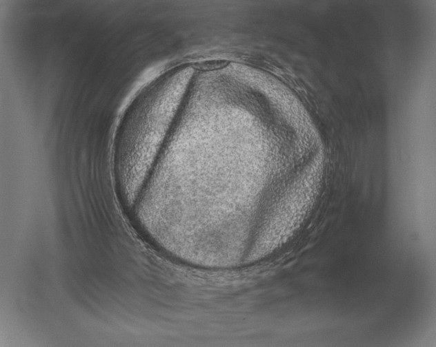 X0000051250006200507082202